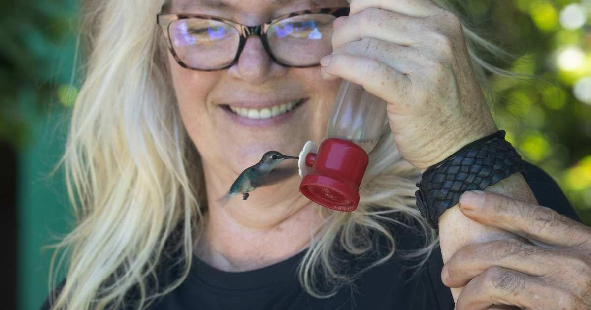 A person wearing glasses holds a tiny feeder close to their face to watch a hummingbird up close (Representative Cover Image Source: Getty Images | Wirestock)