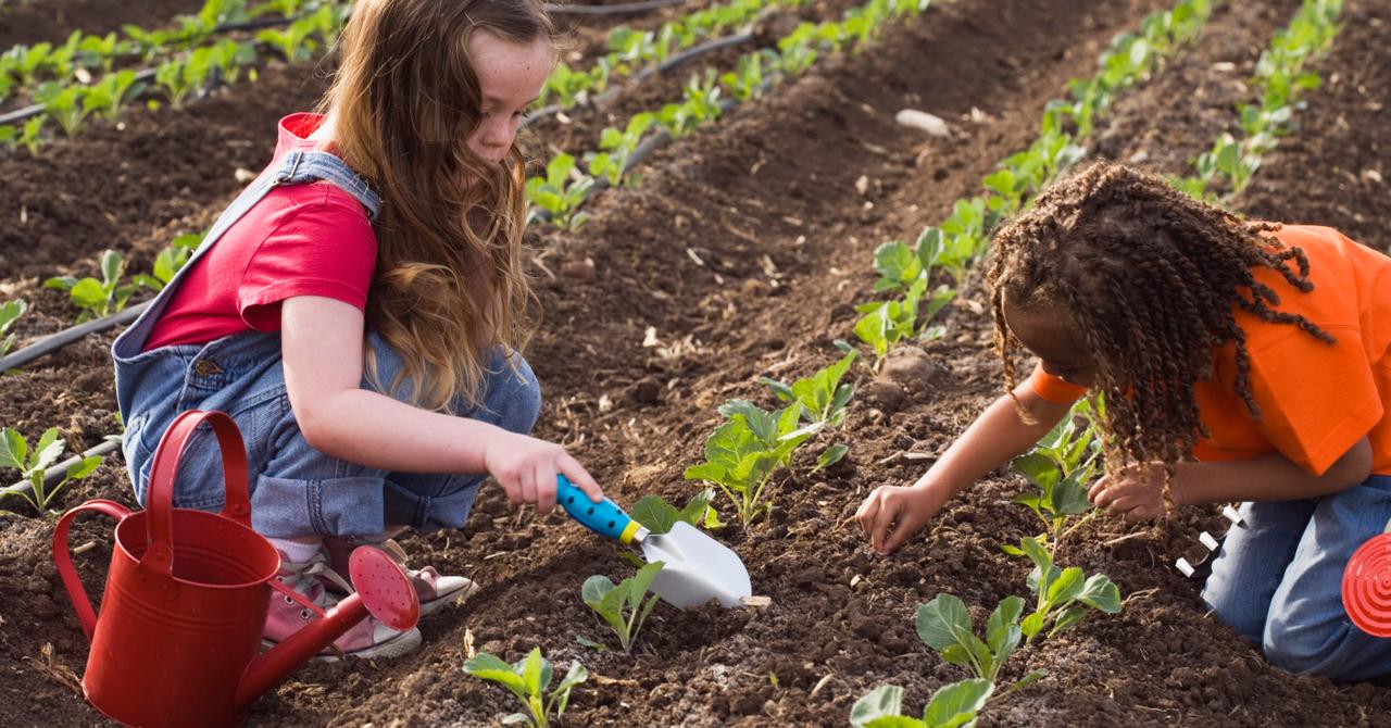 How to Start Urban Gardening, If You're Living the City Life