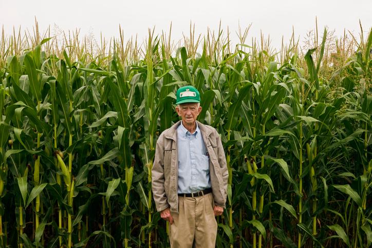 Farmer stands in front of corn field