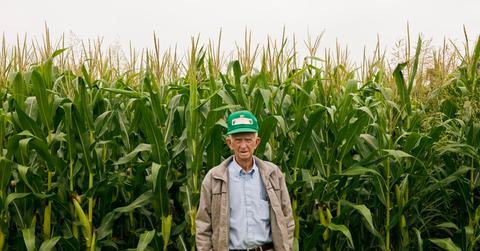 Farmer stands in front of corn field