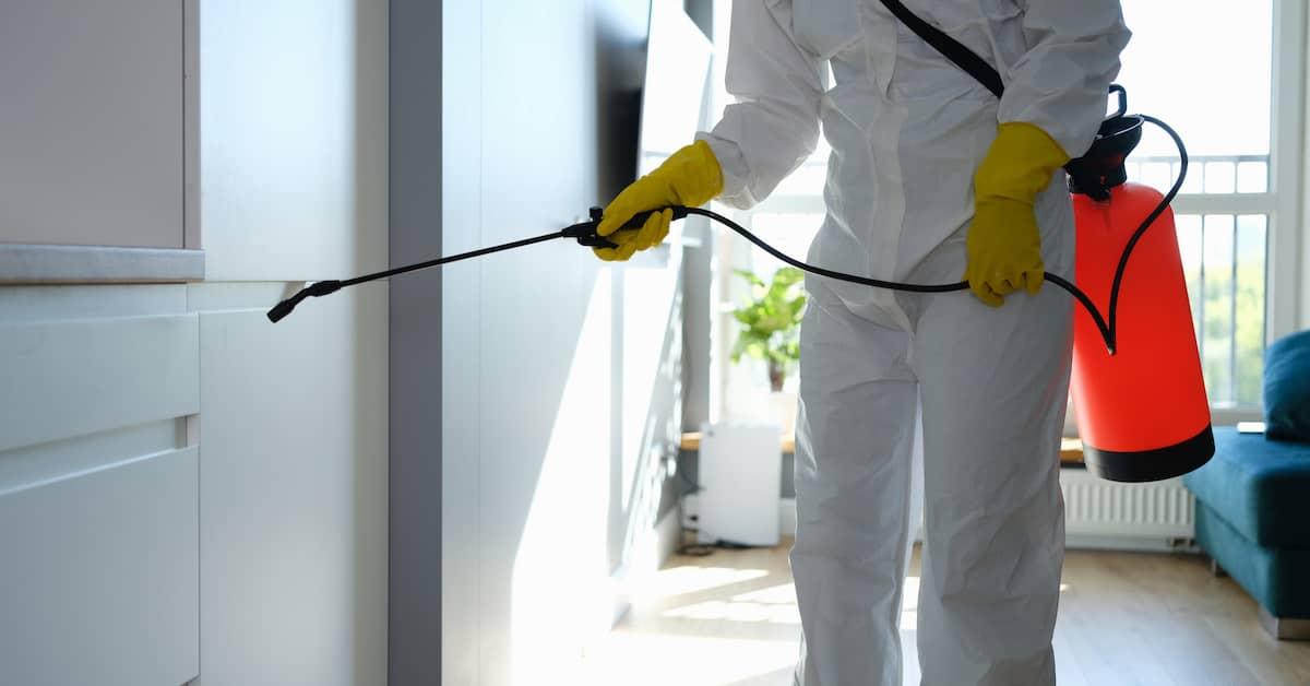 Coseup of person in white coveralls and yellow gloves treating an apartment for pests