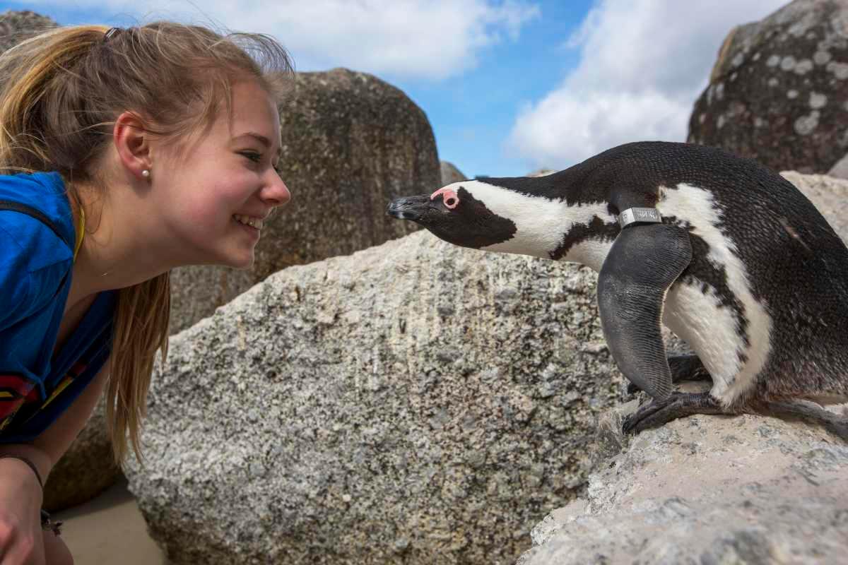 pn/cfdad ee ef bcd ffdbca