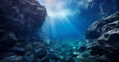 An image of the underwater life. (Representative Image Source: Pixabay | EvaMichalkova)