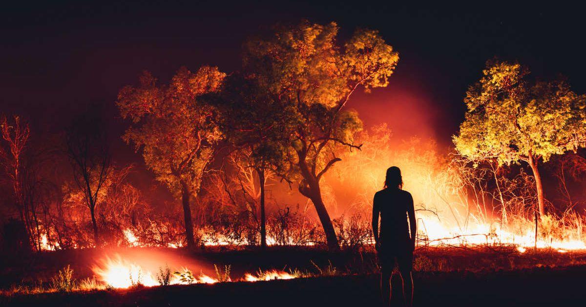 A person standing in a scene of a forest fire. (Representative Cover Image Source: Getty Images | Abstract Aerial Art)