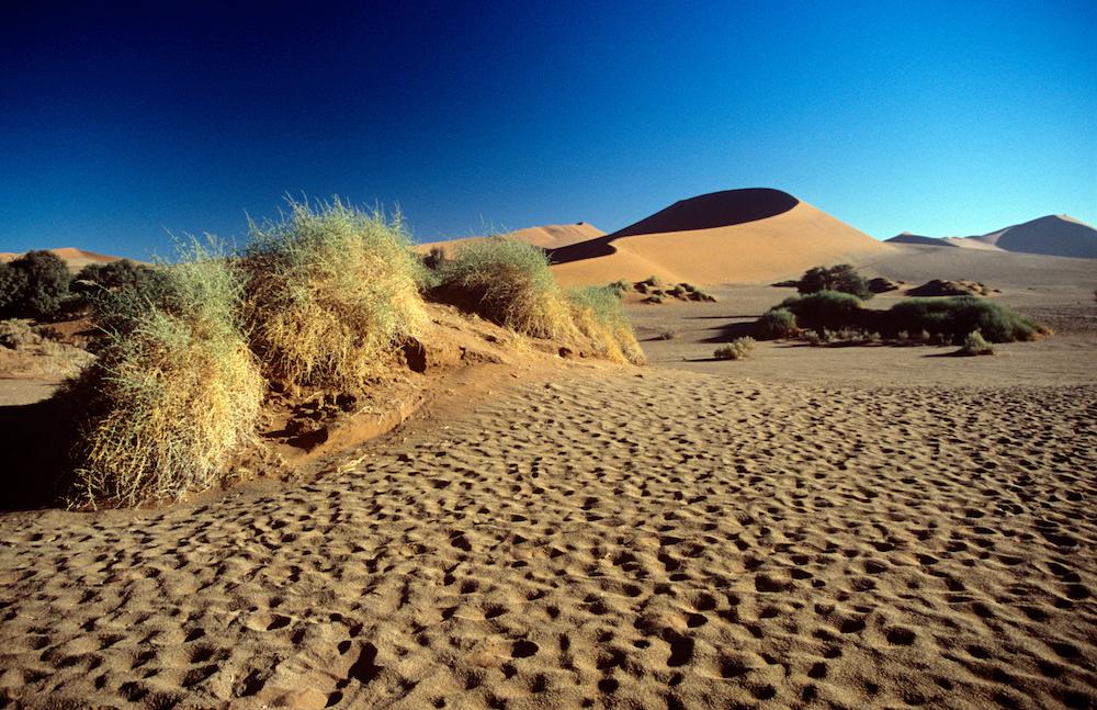 The Namib Desert