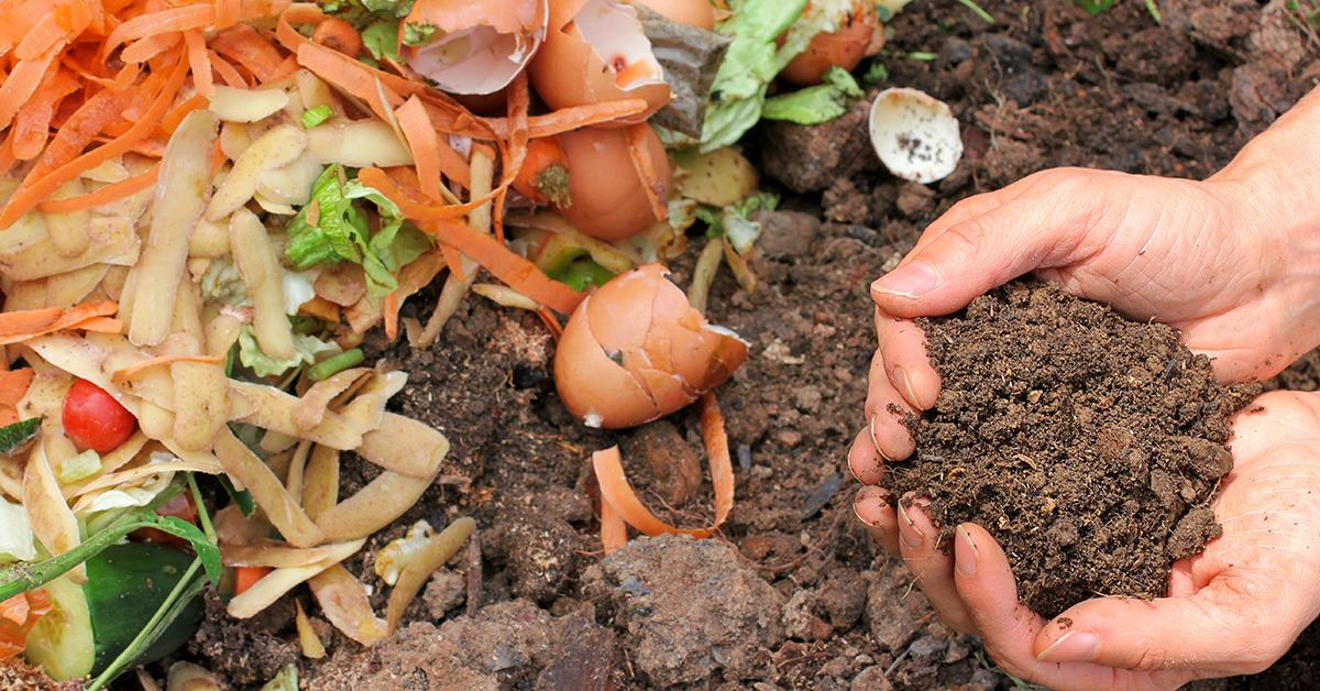 Our Favorite Countertop Composter That Truly Traps Bad Odors Is a