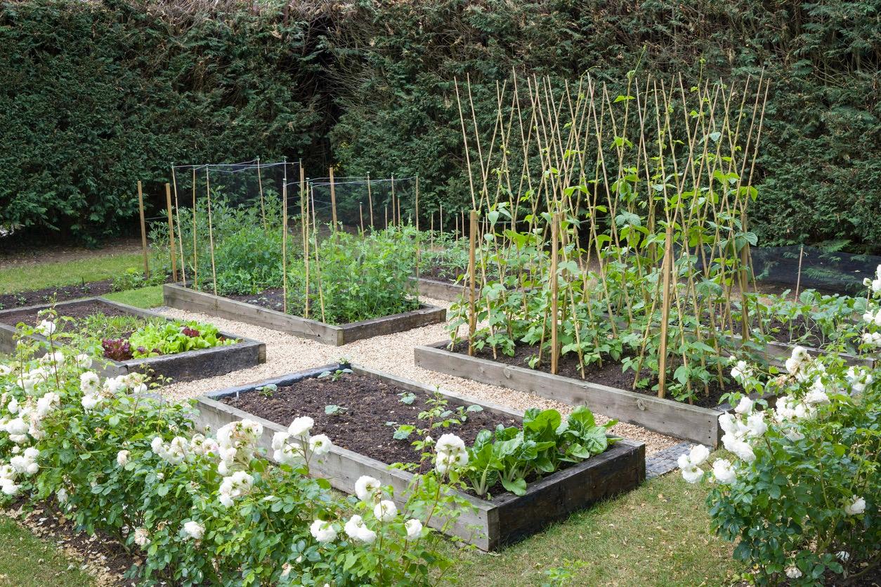 Raised Garden Beds