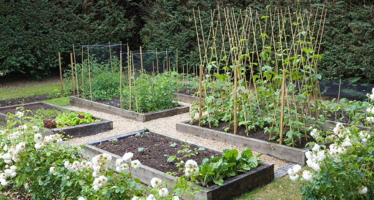 Your Simple Guide to Gardening Without Raised Beds