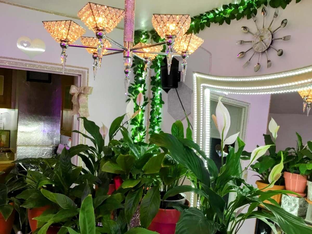 pn/efe fe d b dccfef