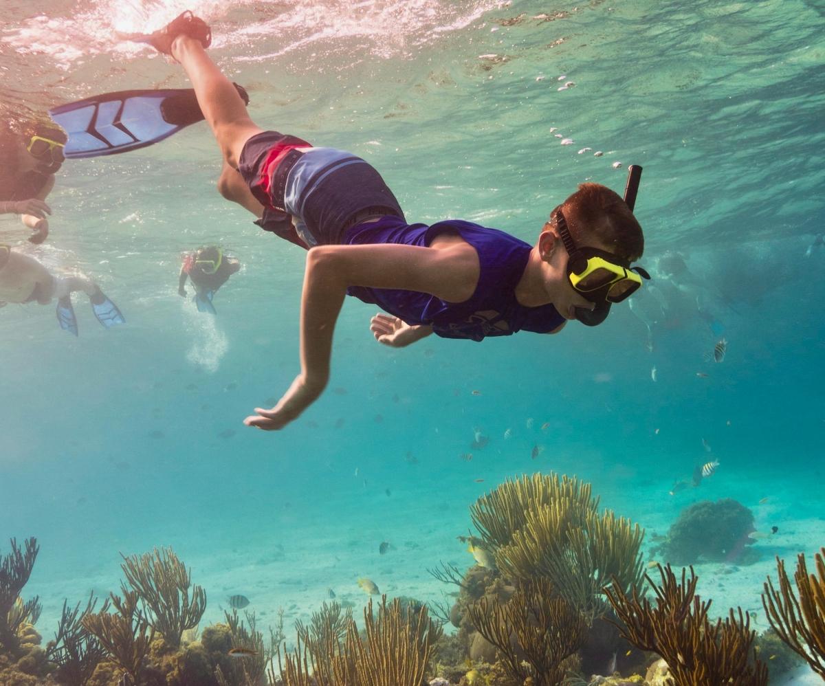 Fun Facts About Coral Reefs You Might Not Know