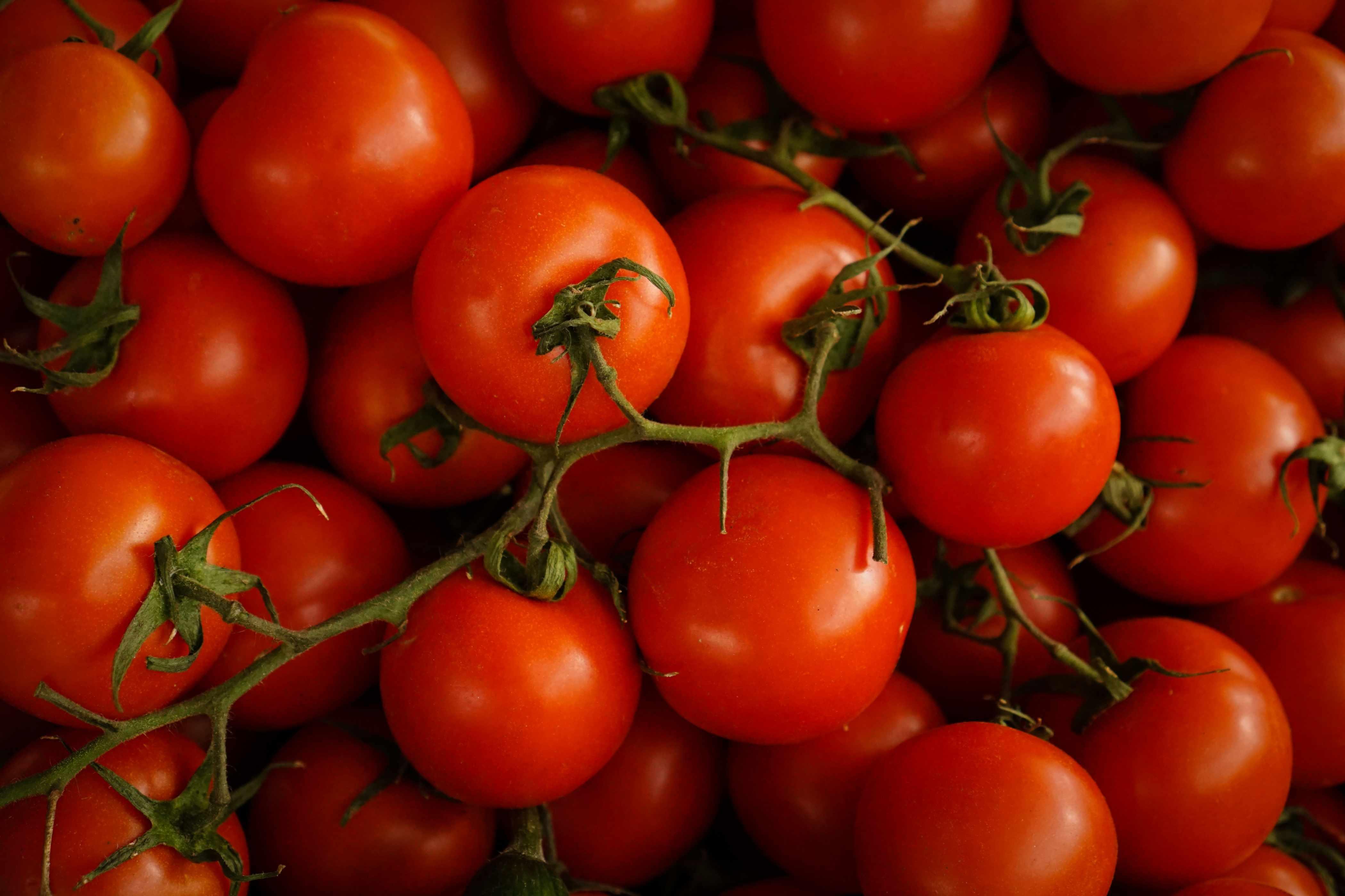 Bunches of tomatoes on the vine are pictured stacked atop one another.