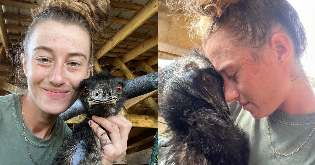 Emmanuel the Emu Updates Avian Flu Has Struck Knuckle Bump Farms