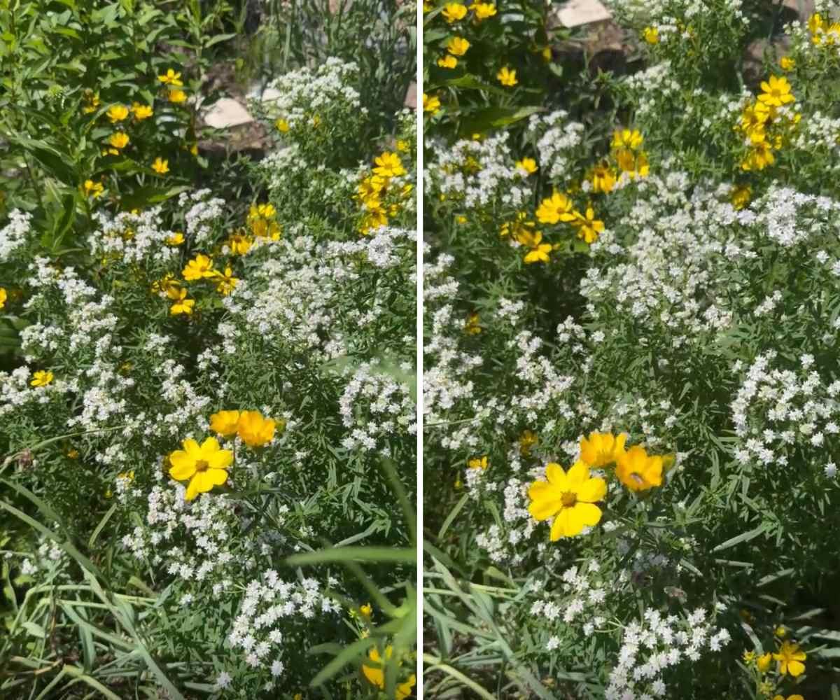 pn/eff ec df f bdcdddc