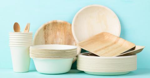 compostable container cup