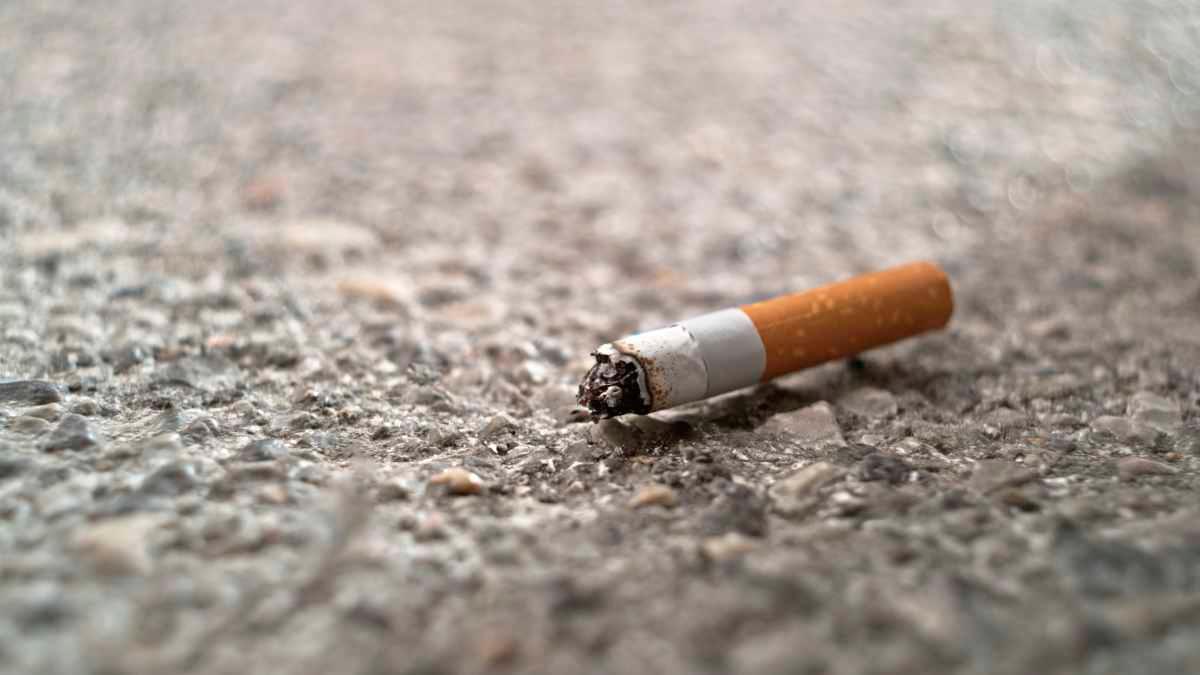 pn/fbecf ad a dccfba