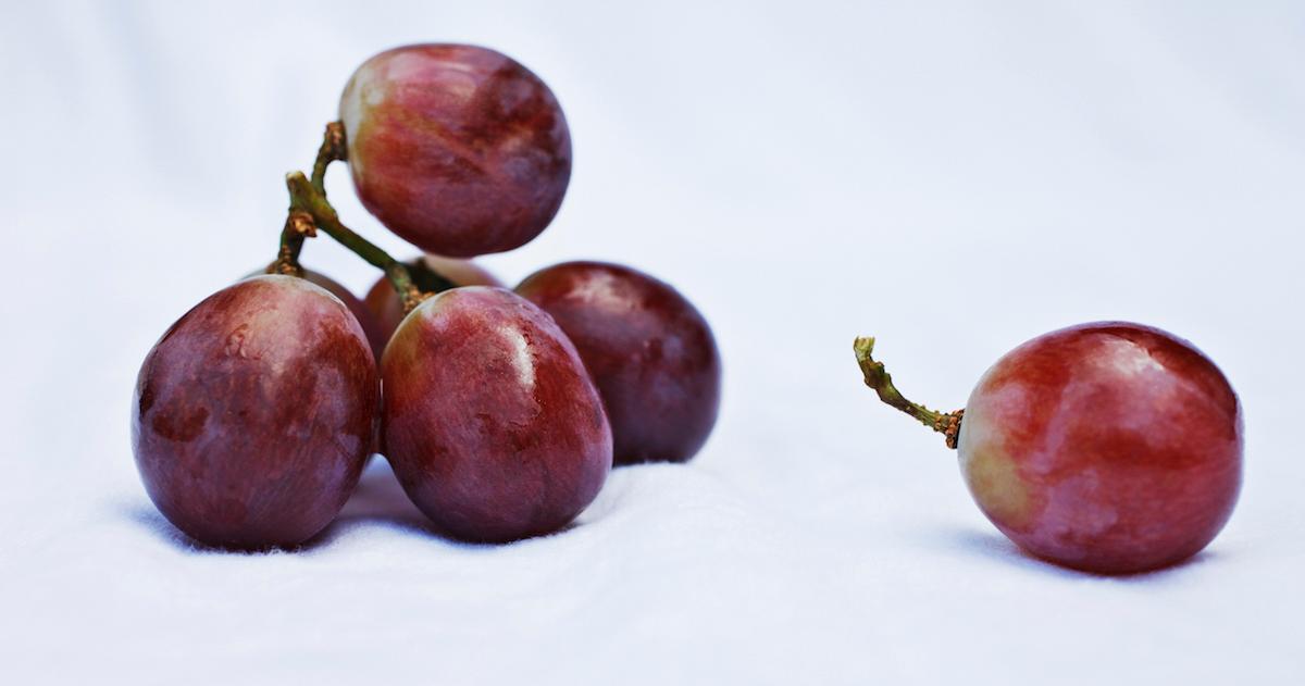 Can Dogs Eat Grapes? Here's What Happens If They Do
