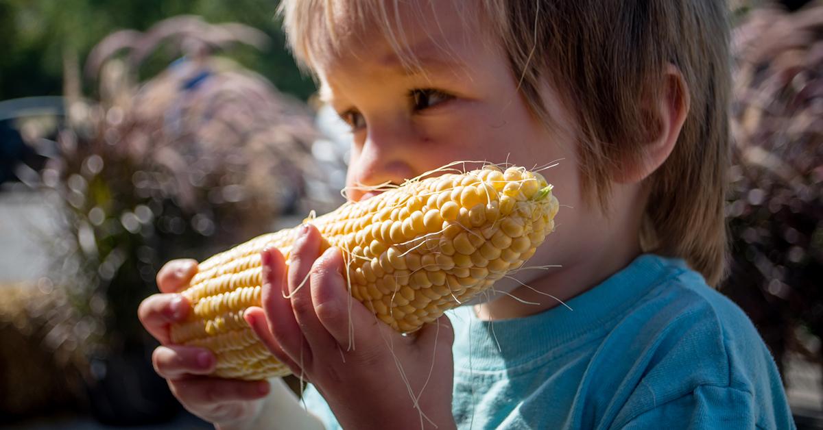 how long does raw corn on the cob last