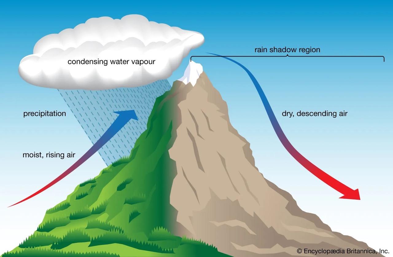 Microclimate Examples