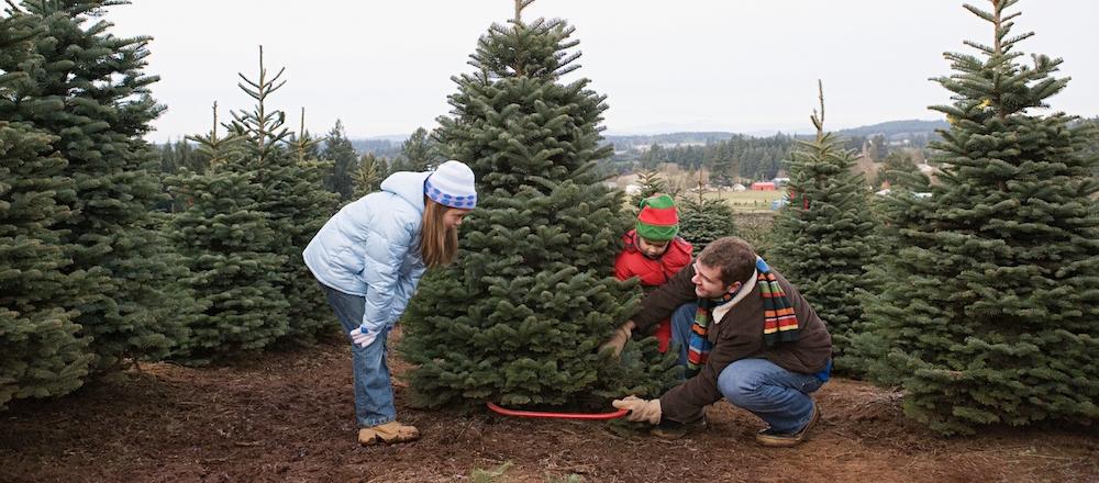 Family With a Christmas Tree