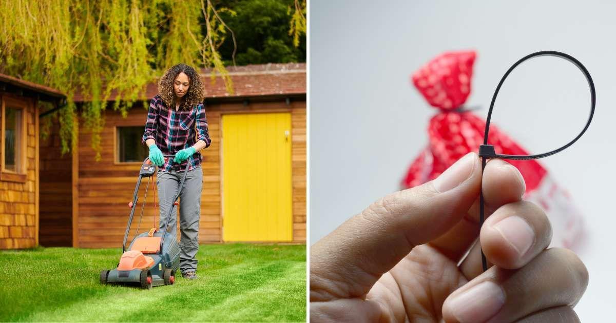 (L) Woman mowing the lawn, (R) Hand holding a twisted zip tie (Representative Cover Image Source: Getty Images | (L) Sturti, (R) Onandter_sean)