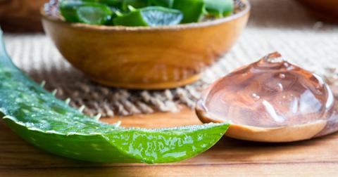 How To Use Aloe Vera Plants Around The House For Beauty Skin Care