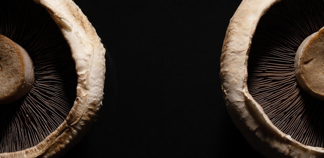 A view of half of two portobello mushrooms in front of a black background. 