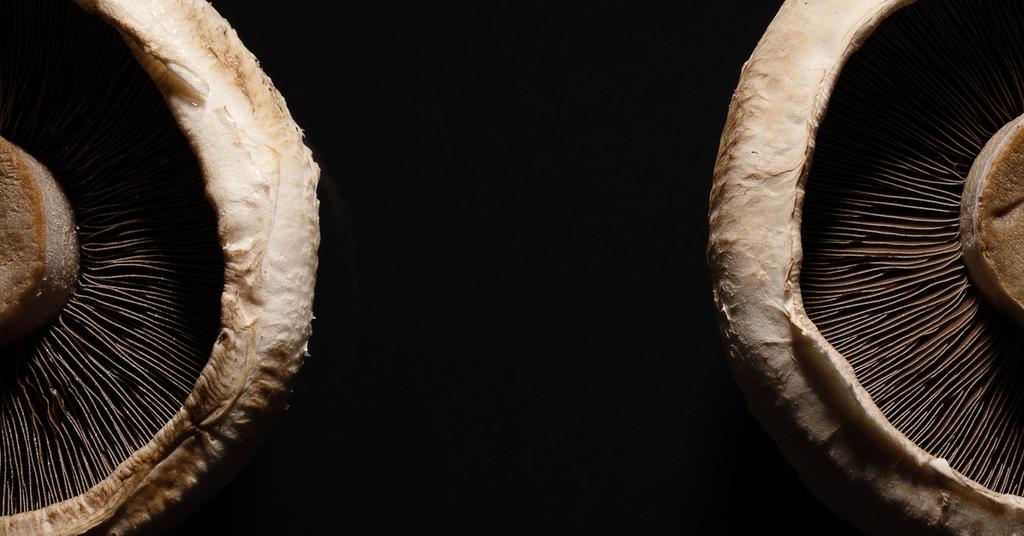 What Are the Negative Effects of Portobello Mushrooms?