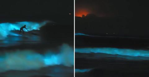 A Spanish surfer experienced double fortune as both the sky and ocean lit up in dazzling light shows (Cover Image Source: Instagram | @santimedeiro)