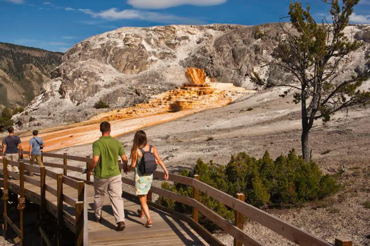 pn/ecaf def eaf a add