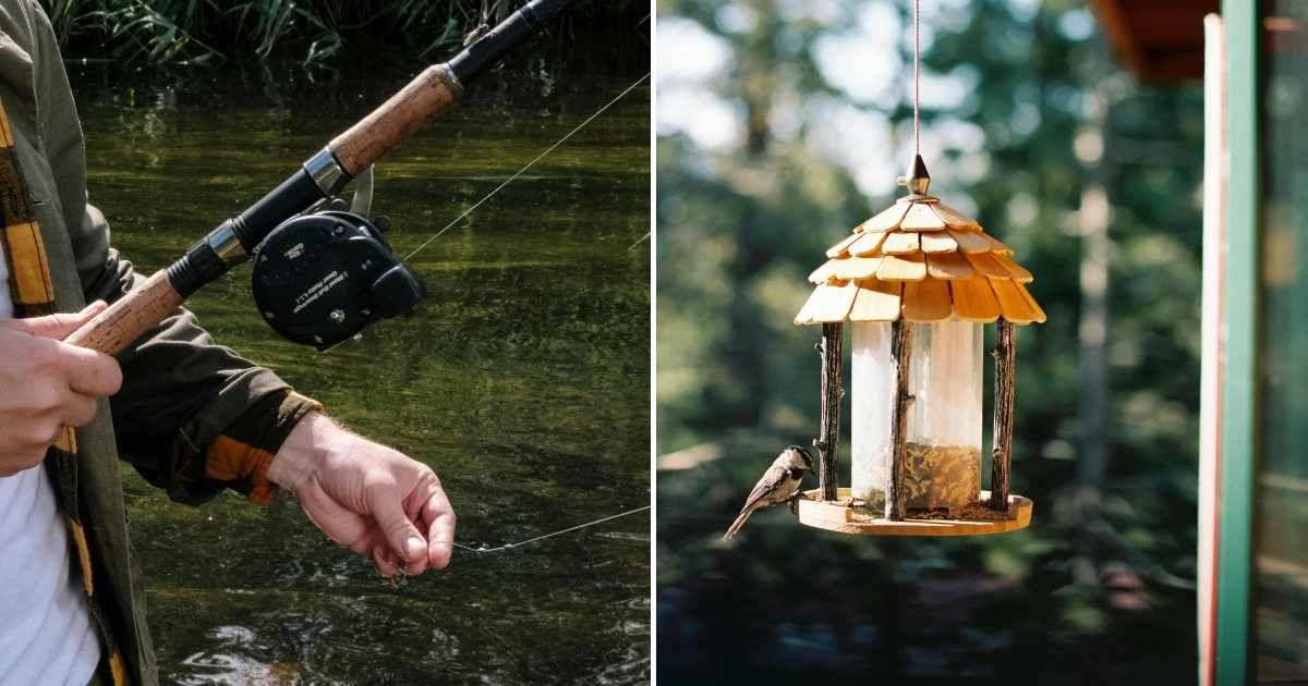 (L) A man holding the fishing hook; (R) A bird feeder hanging by a thread. (Representative Image Source: Pexels | (L) Cottonbro studio; (R) Lindsay Garrett)