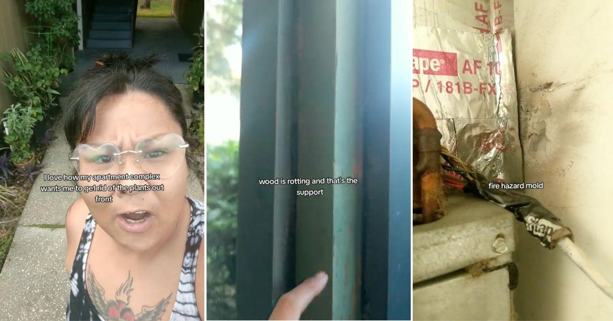 Screenshots from viral TikTok video. 