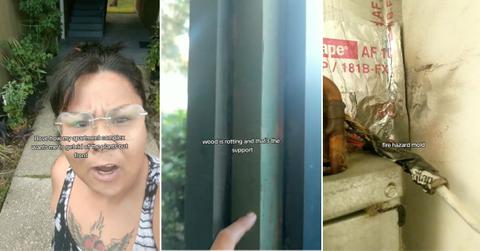 Screenshots from viral TikTok video.