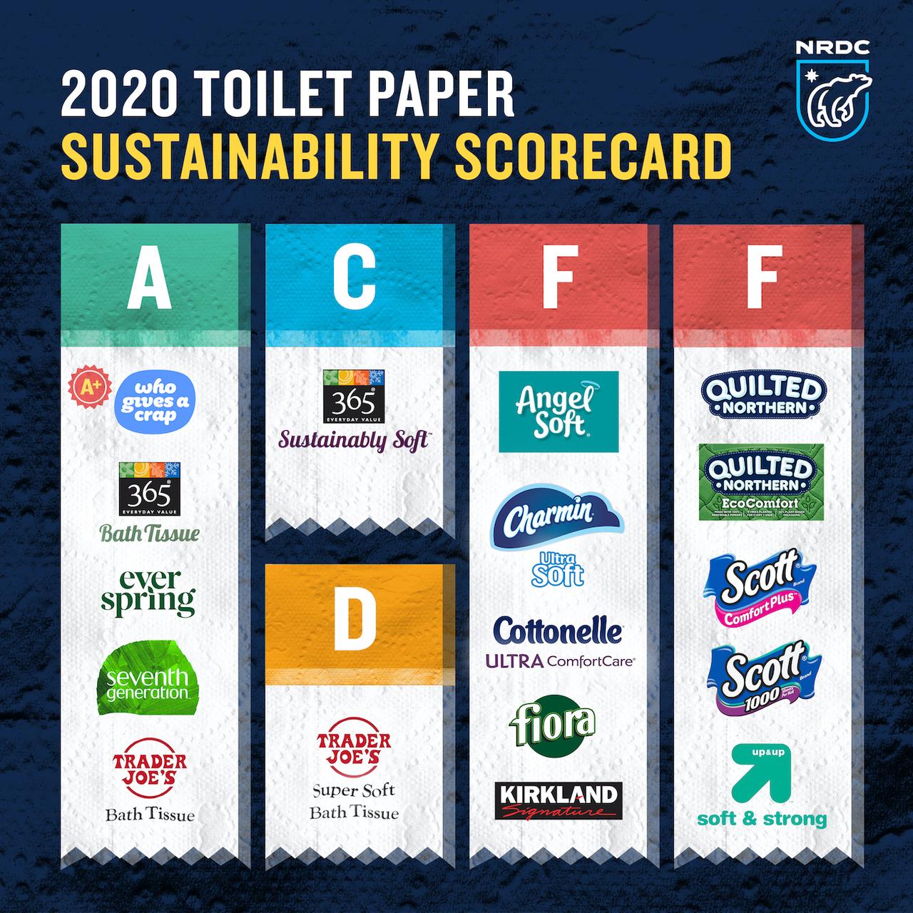 Which Toilet Paper Is the Most Sustainable, According to NRDC Report