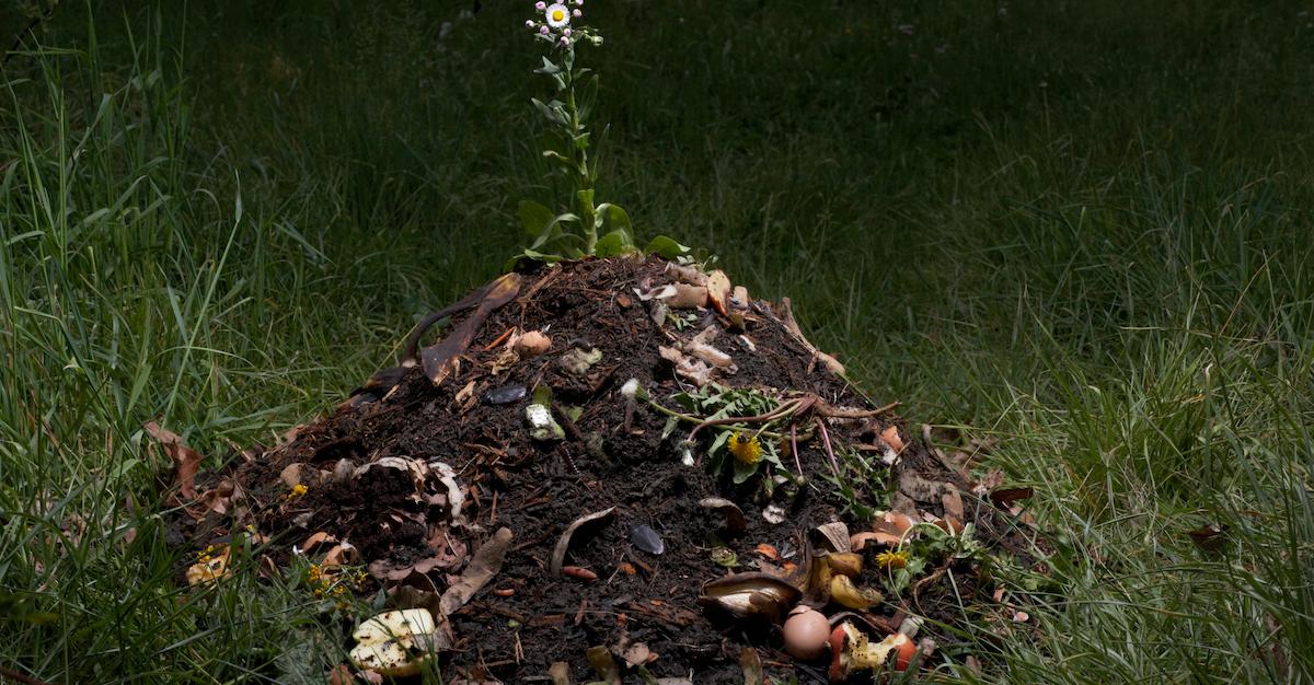 Chipotle Composting Program