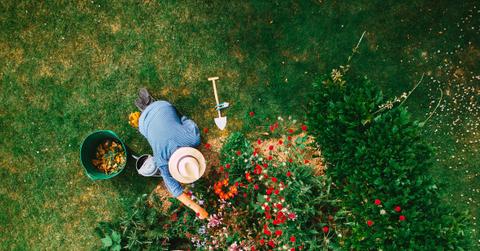 Aerial image of person working in garden