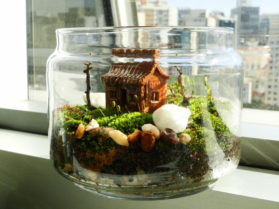 https://media.greenmatters.com/brand-img/JuAmfeWM0/0x0/mini-house-in-terrarium-1689043747168.jpg