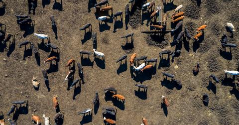 uk farm subsidy redistribution