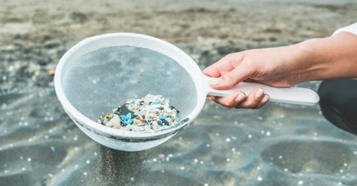 ocean microplastic affects