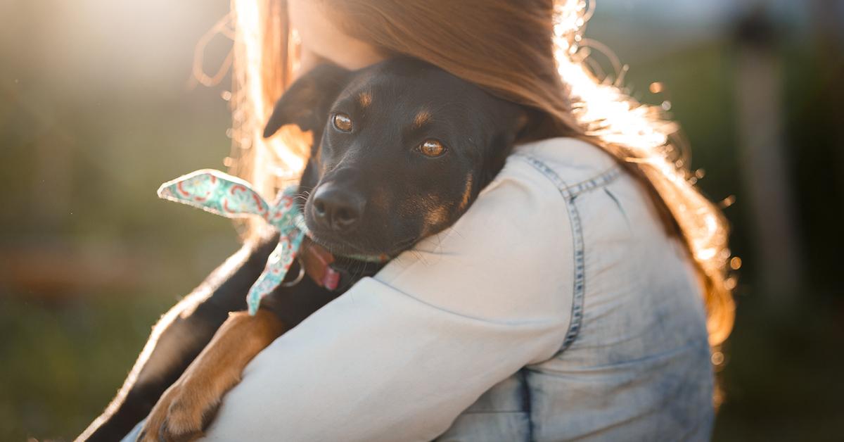 foster pet shelter animal day