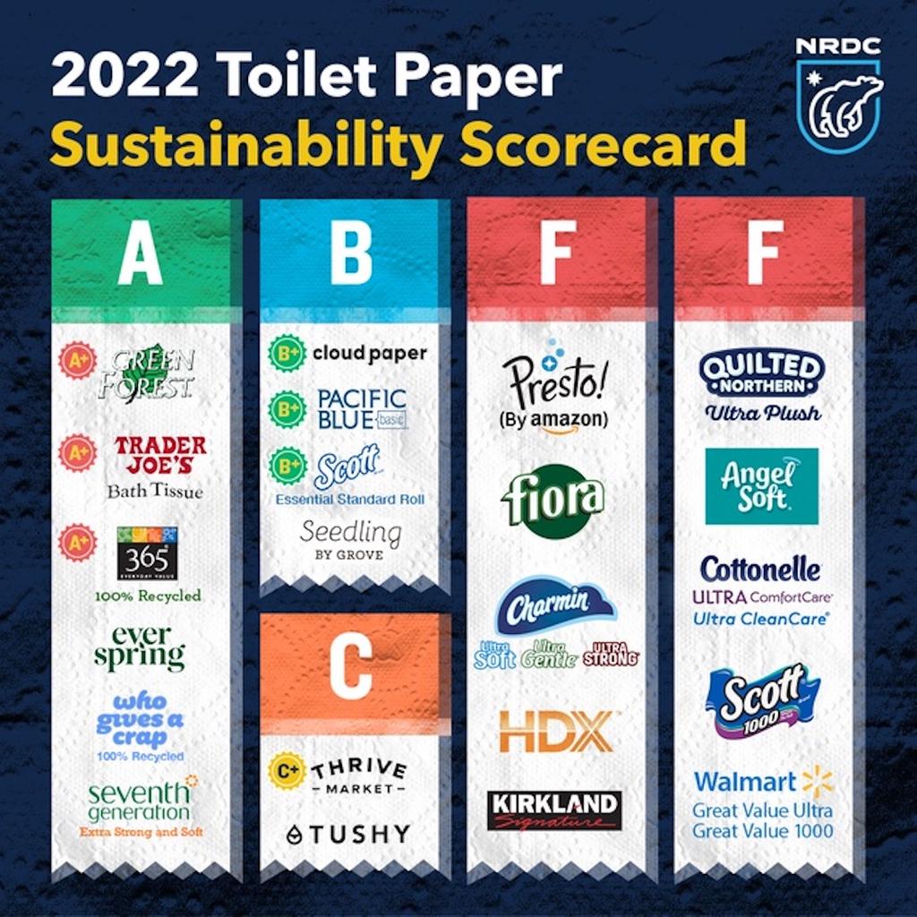 Best EcoFriendly Toilet Paper, Paper Towel, and Tissues, As Per NRDC