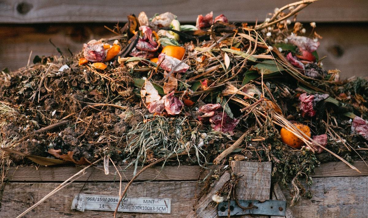 Compost pile