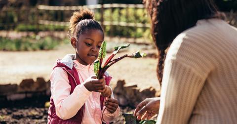 baltimore food waste grants
