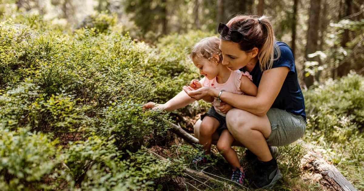 A mom and her little child are picking wild berries in the woods. (Representative Cover Image Source: Getty Images | J_art)
