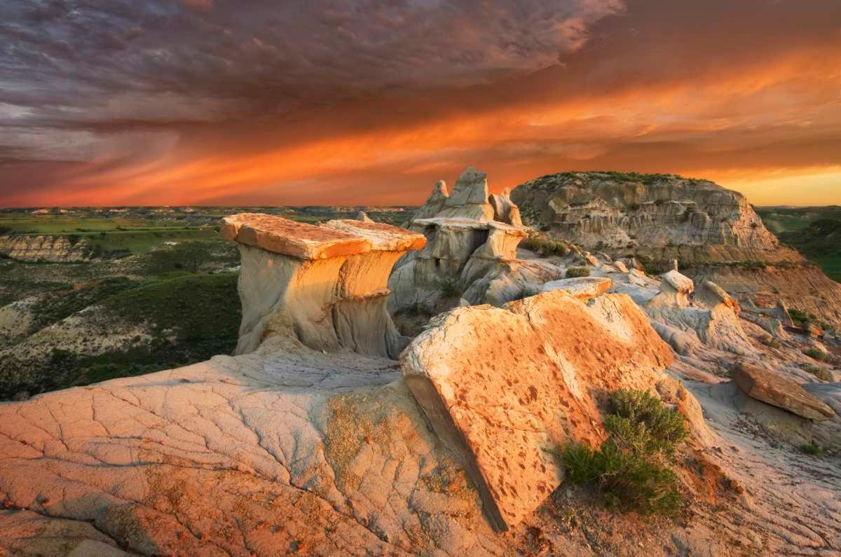 pn/caedd d abe b efc