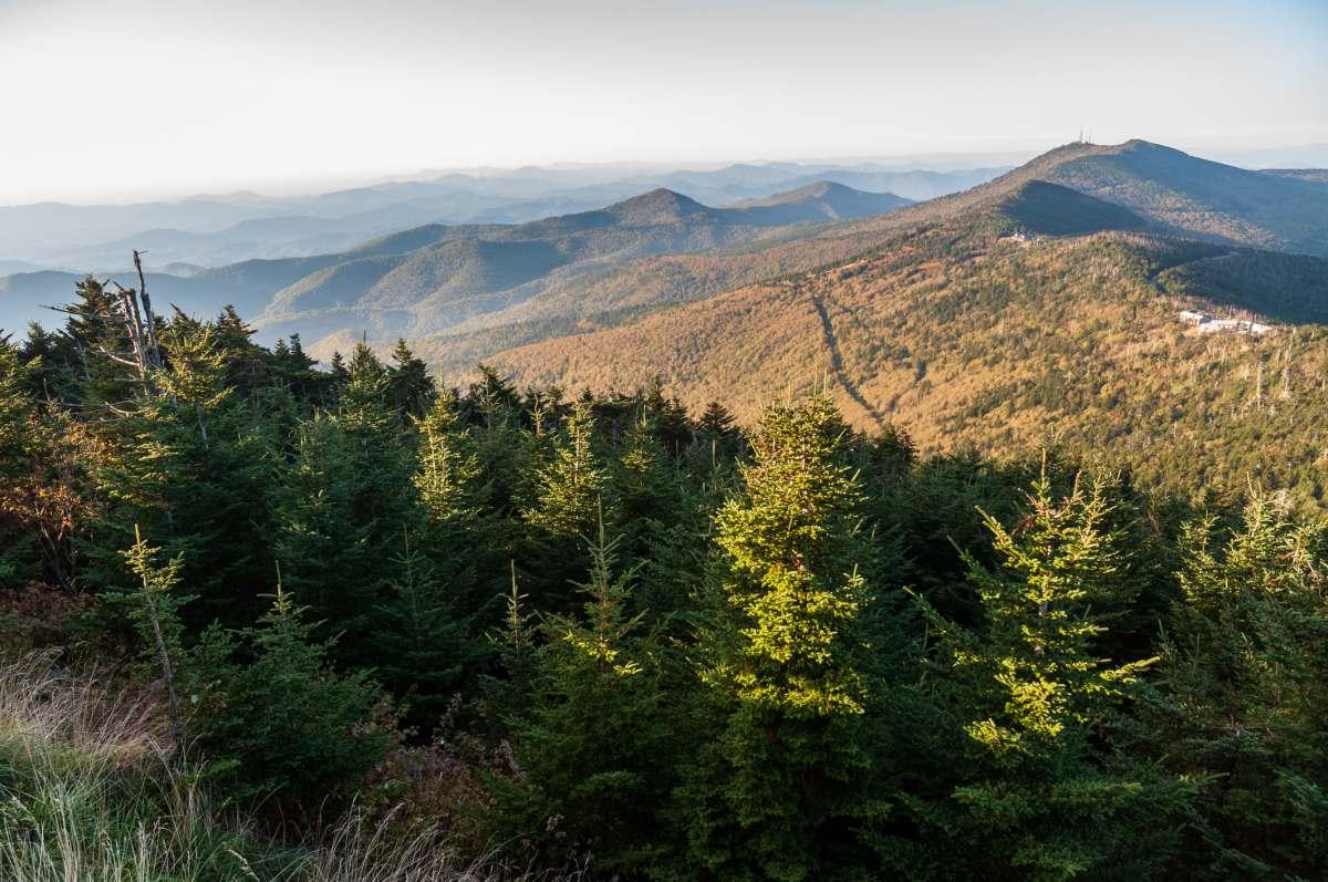 pn/fde a faf ad abca