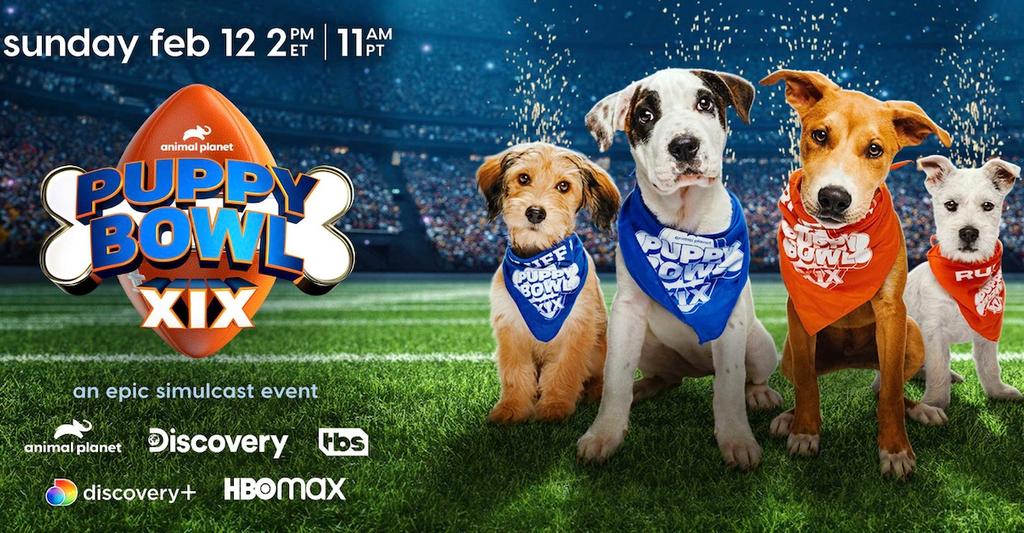 Puppy Bowl Highlights 2023 Adoptable Dogs, Who Won, and More