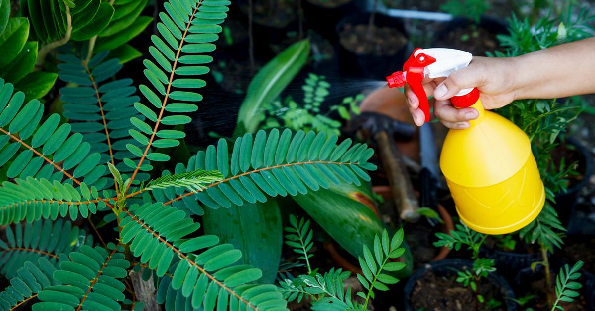 Is Organic Fertilizer Safe for Pets?