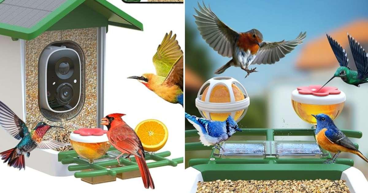 pn/bd fb ad abe ddcc