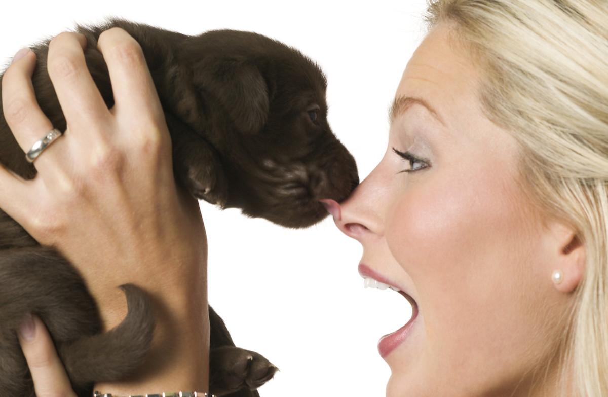 what does it mean if dog licks your face