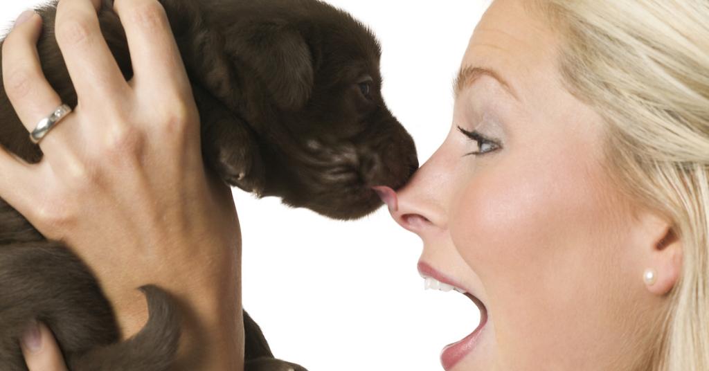 What Does It Mean When a Dog Licks You?